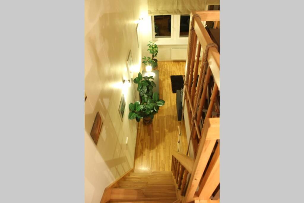 Penthouse Apartment With Great Panoramic City View VNO Extérieur photo